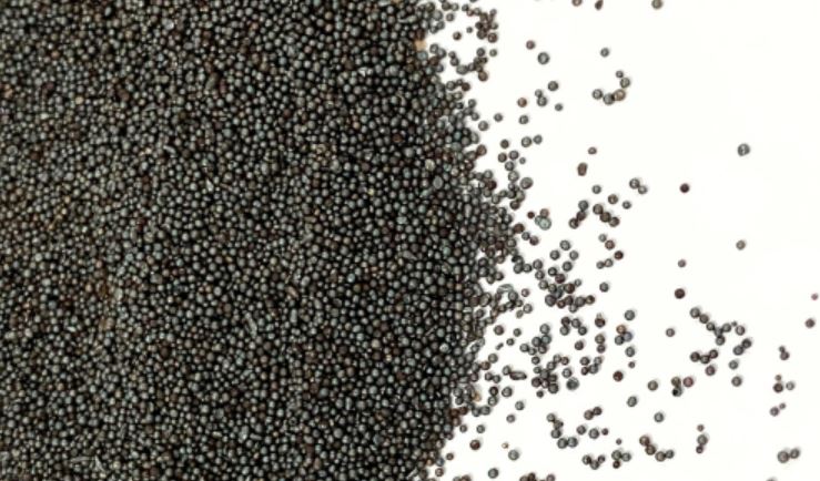 Phân loại hạt bi thép tẩy rỉ