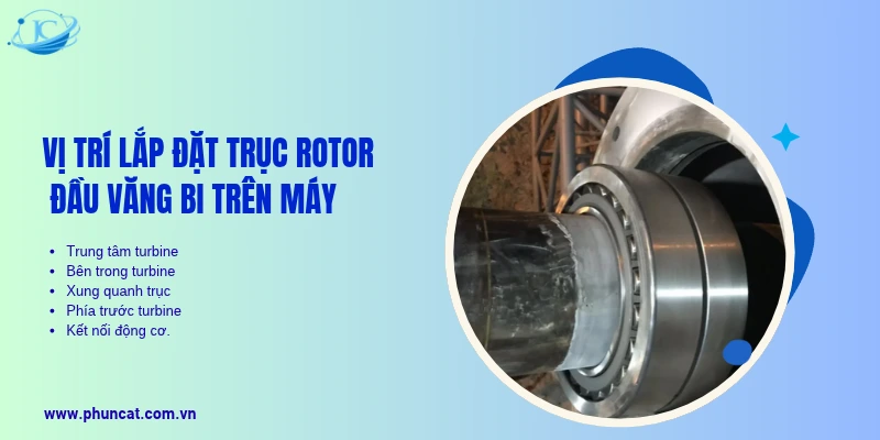 Vị trí lắp đặt trục rotor đầu văng bi trên máy 